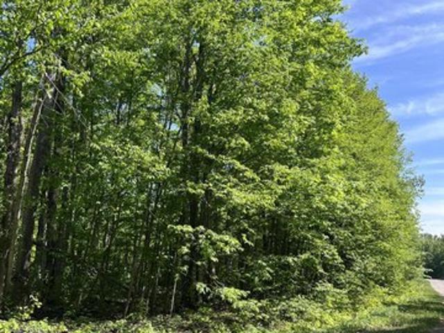 Land for sale in Elmira, Michigan