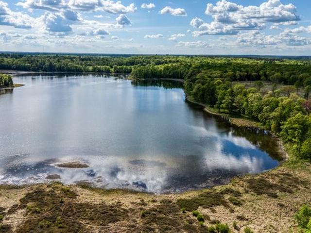 Land for sale in Beltrami, Minnesota