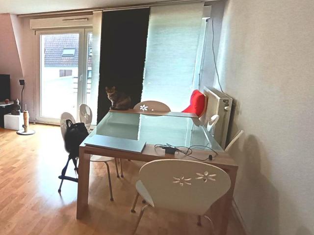 Appartement vente à Strasbourg, Lampertheim