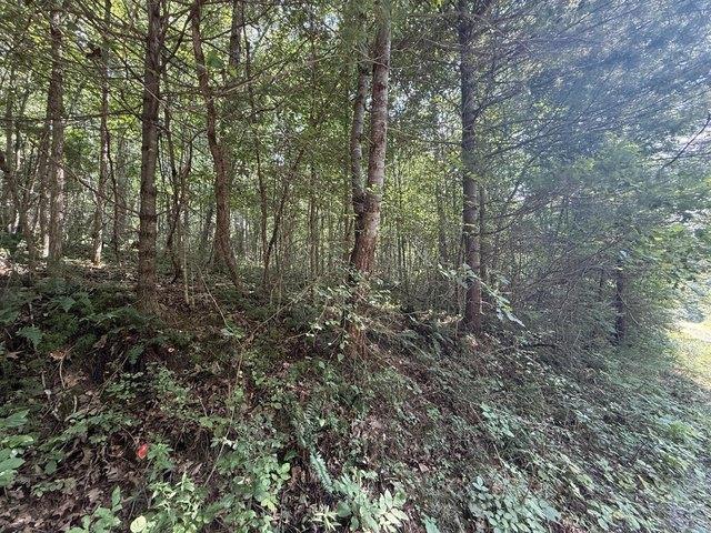 Land for sale in Max Meadows, Wythe County