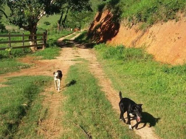 Terreno venda em Região Imediata de Sorocaba, Região Metropolitana de Sorocaba