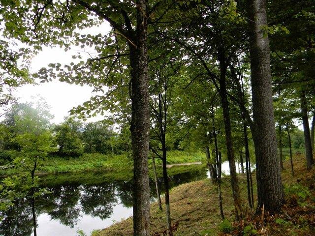 Land for sale in New Hampshire
