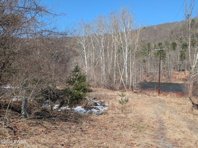 Land for sale in Beach Lake, Pennsylvania