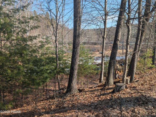Land for sale in Beach Lake, Pennsylvania