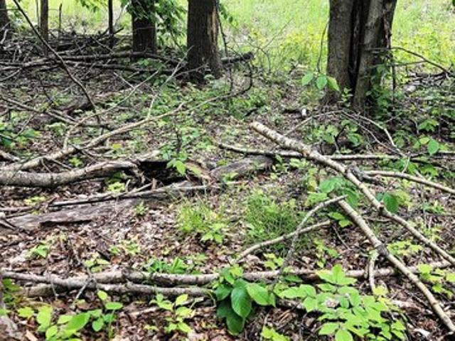 Land for sale in Wolverine, Michigan