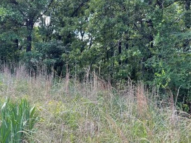 Land for sale in Davis, Oklahoma