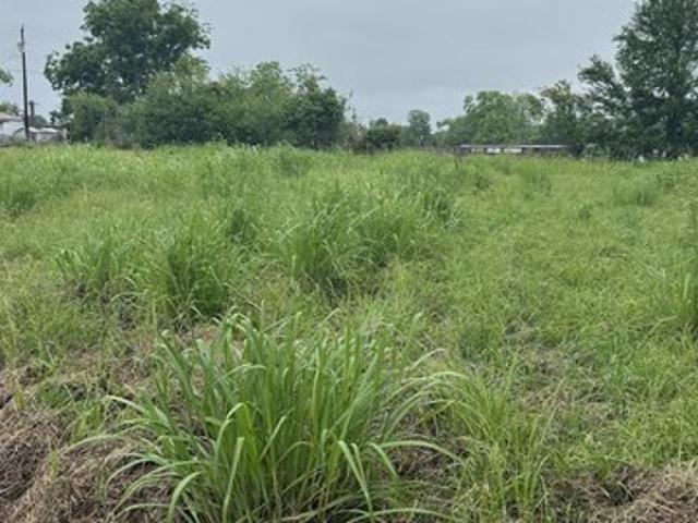 Land for sale in Ventress, Louisiana