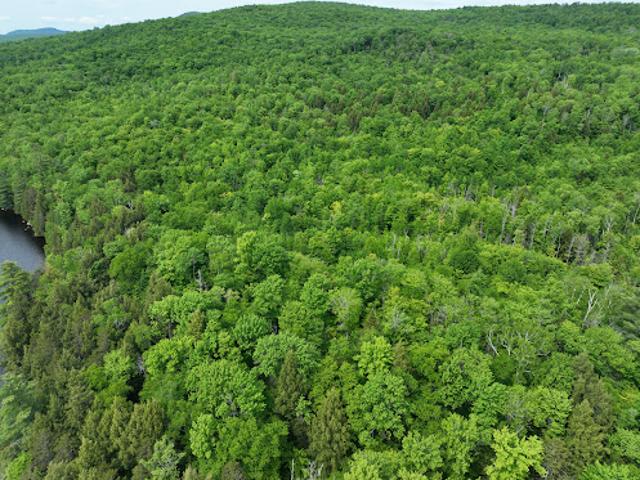 Land for sale in Groton, Vermont