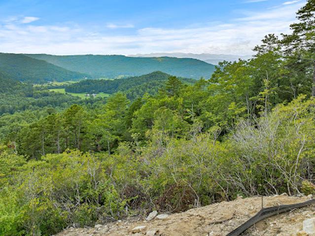 Land for sale in Transylvania, North Carolina
