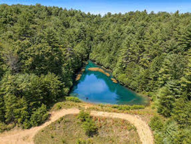 Land for sale in Mineral Bluff
