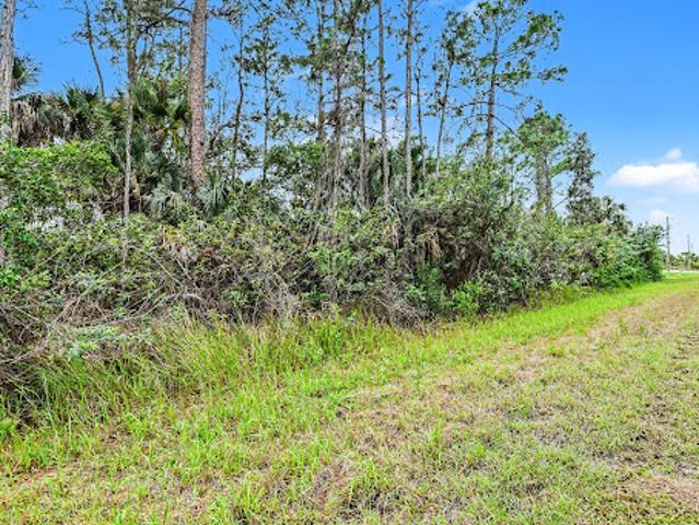 Land for sale in Lehigh Acres, Florida