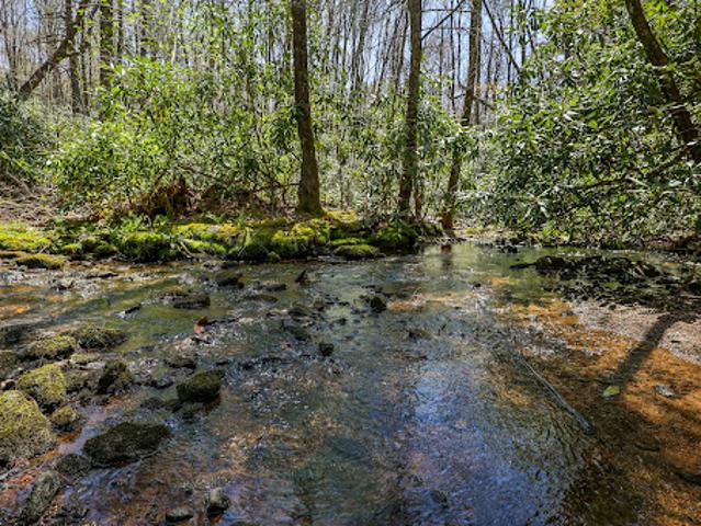 Land for sale in Highlands, North Carolina