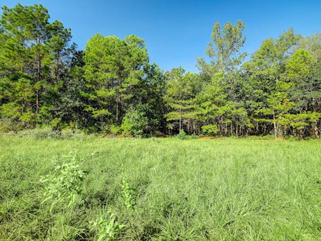 Land for sale in Walker, Texas