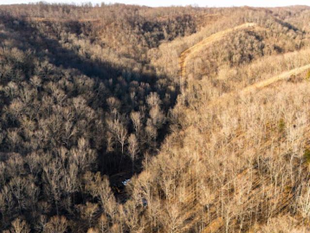 Land for sale in Tennessee