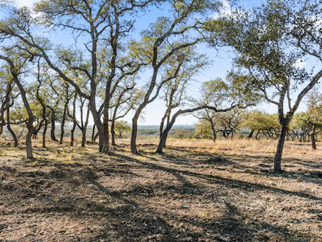 Land for sale in Blanco, Texas