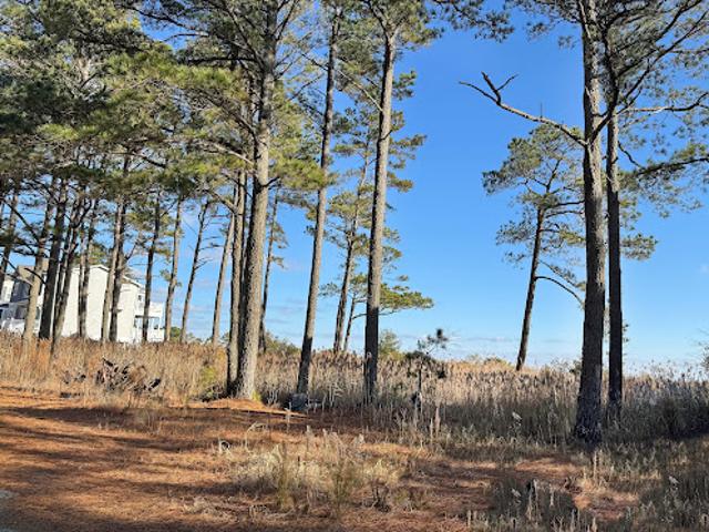 Land for sale in Virginia