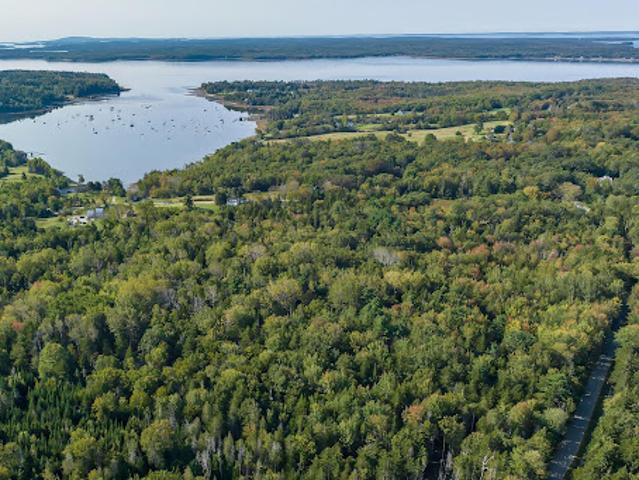 Land for sale in Sedgwick, Maine