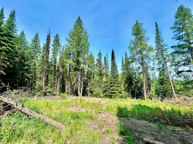Land for sale in Colorado