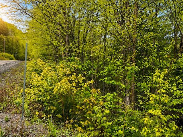 Land for sale in Lac-des-plages, Quebec