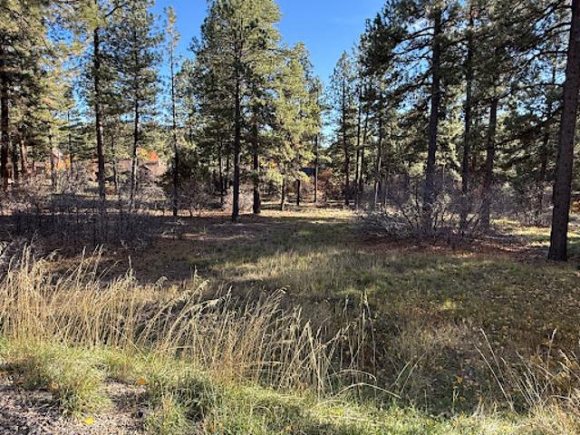 Land for sale in La Plata, Colorado