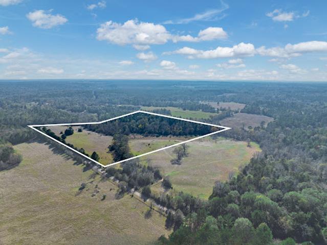 Land for sale in Palestine, Texas