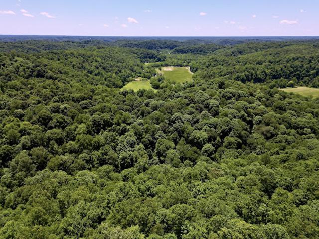Land for sale in Tennessee