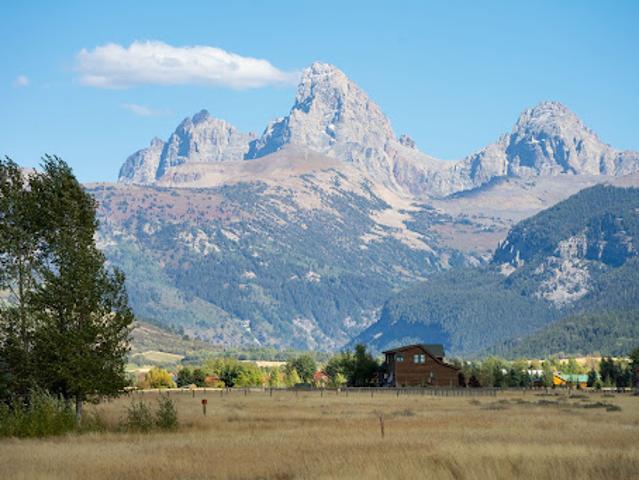 Land for sale in Driggs