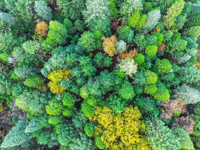 Land for sale in Nevada City, California