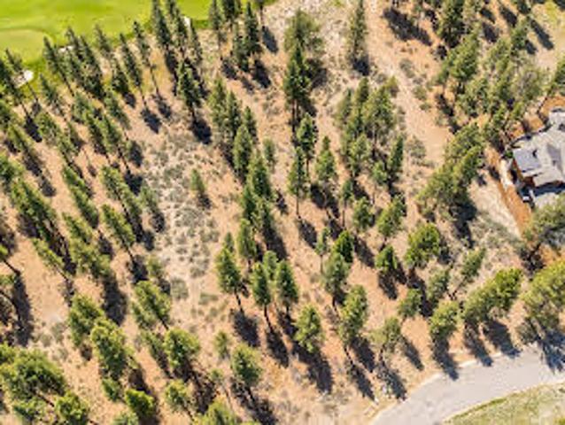 Land for sale in Carson City