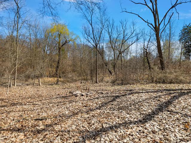 Land for sale in Bloomfield Hills, Michigan