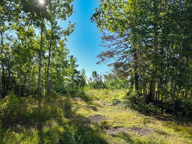 Land for sale in Grand Marais, Minnesota