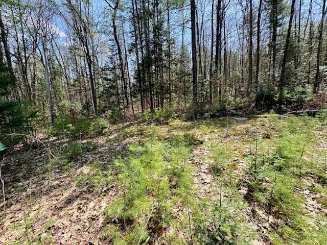 Land for sale in Newbury, Vermont