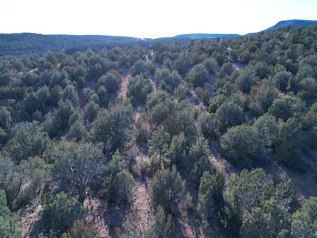 Land for sale in Seligman, Arizona