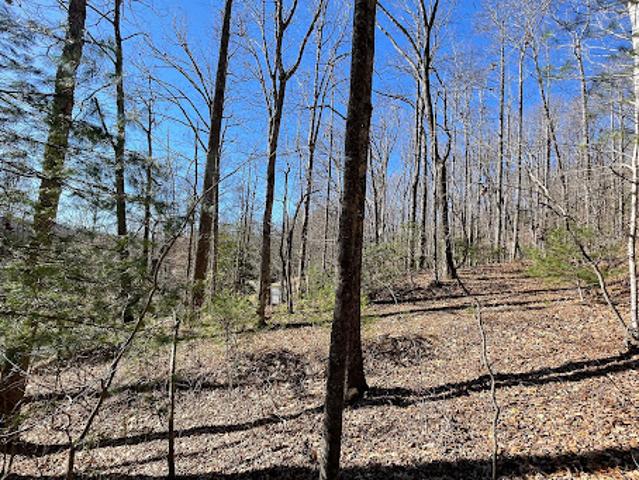 Land for sale in Hendersonville, North Carolina