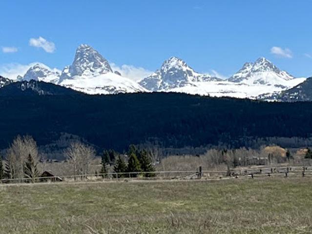 Land for sale in Driggs