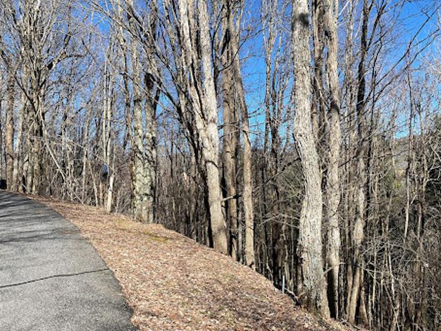 Land for sale in Avery, North Carolina