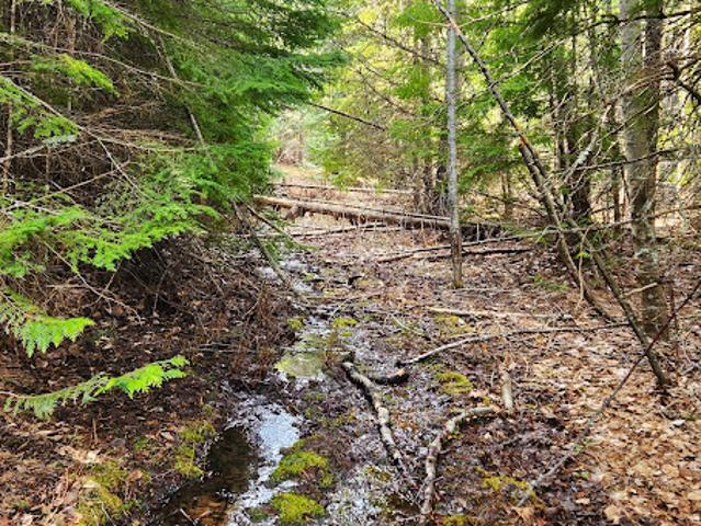 Land for sale in Priest River, Idaho