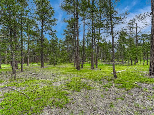 Land for sale in Colorado Springs, Colorado