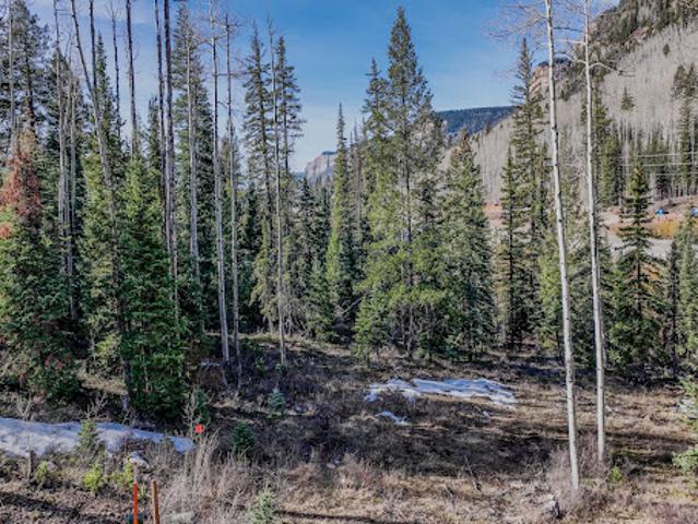 Land for sale in La Plata, Colorado