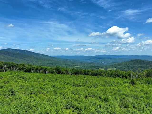 Land for sale in Vermont