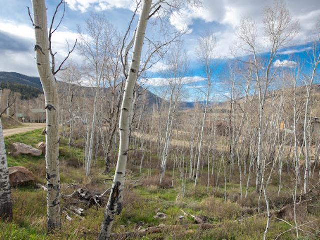 Land for sale in Gunnison, Colorado