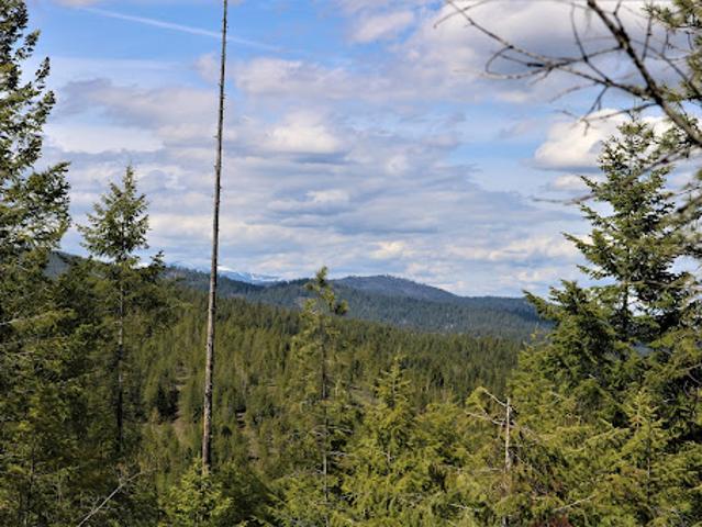 Land for sale in Cocolalla, Idaho