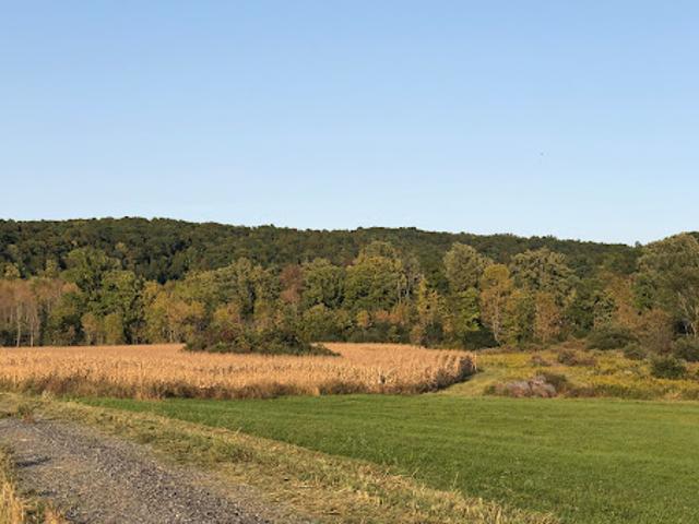 Land for sale in New York