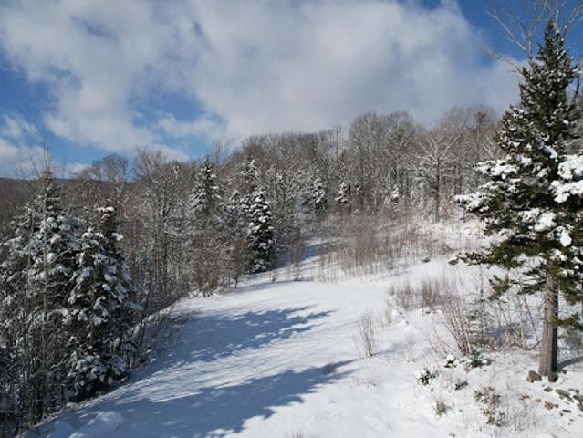Land for sale in West Dover, Vermont