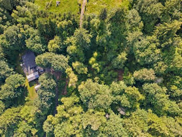 Land for sale in Olympia