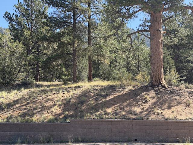 Land for sale in Estes Park, Larimer County