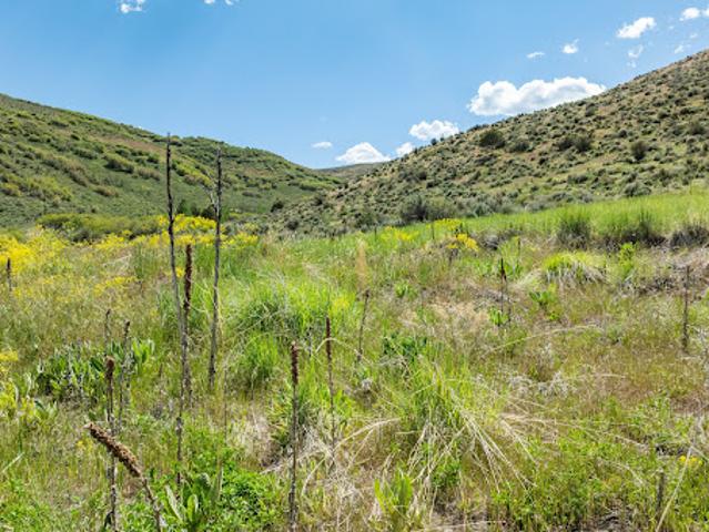 Land for sale in Peoa, Utah