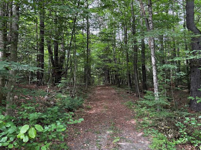 Land for sale in Putney, Vermont