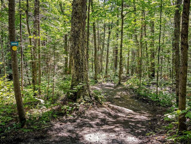 Land for sale in Matawinie, Quebec