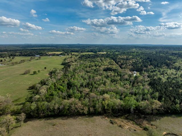Land for sale in Gilchrist, Texas